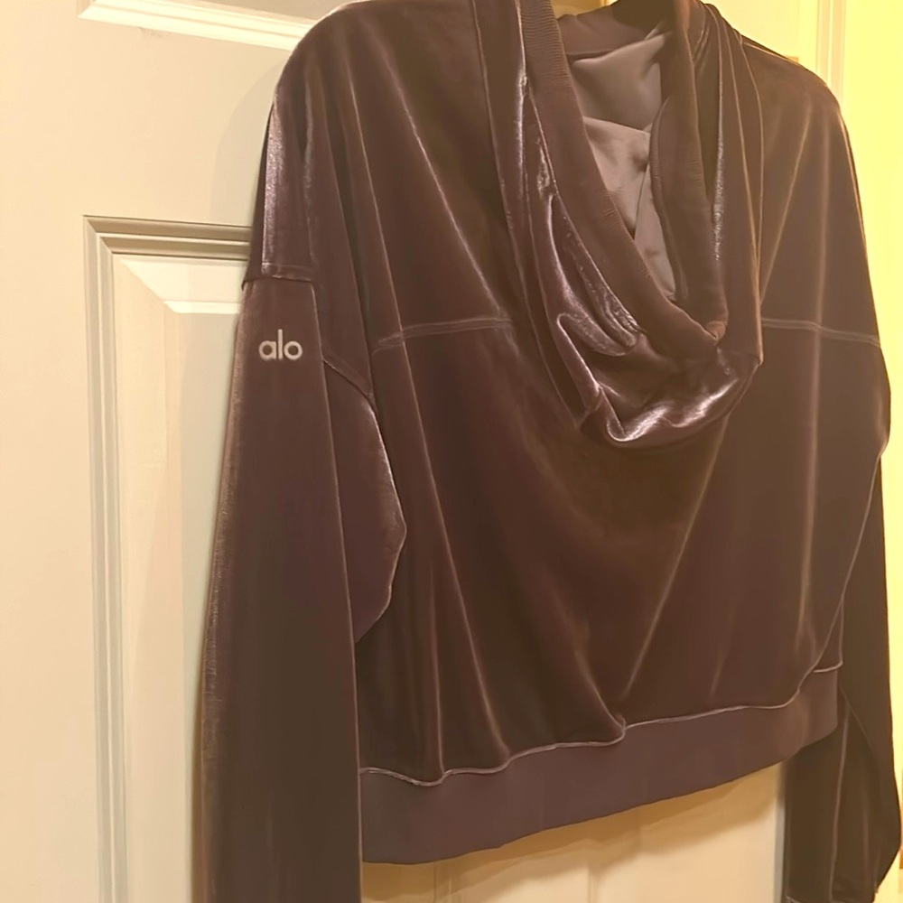 ALO Yoga Velvet Hooded Sweatshirt in Deep Plum